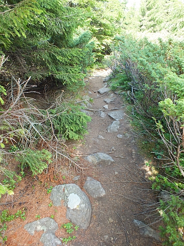 &copy; R.Thiel
09.08.2012 13:57:24
09.08.2012
Rumänien 2012
Rumänienfotos