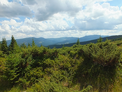 &copy; R.Thiel
09.08.2012 14:02:12
09.08.2012
Rumänien 2012
Rumänienfotos