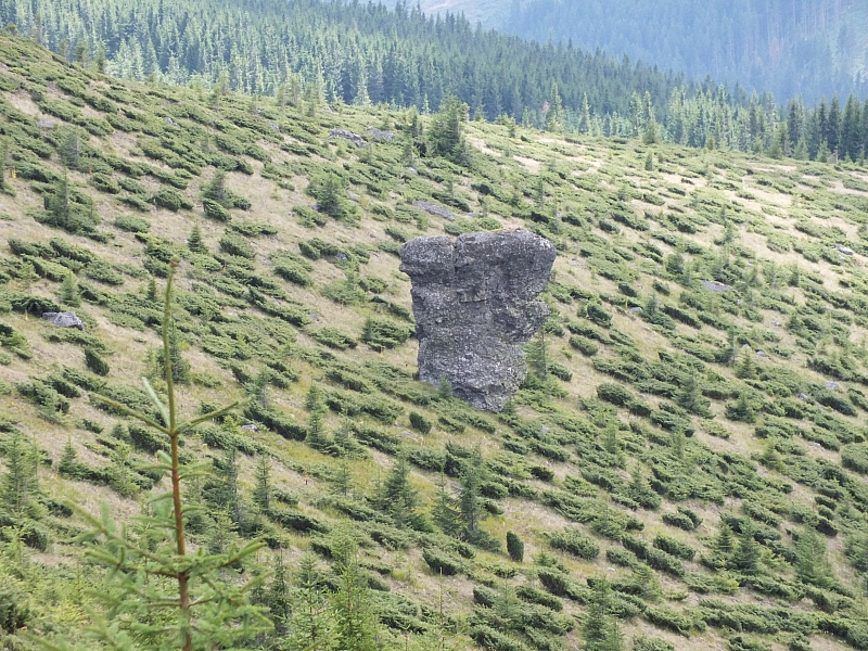 &copy; R.Thiel
09.08.2012 12:35:28
09.08.2012
Rumänien 2012
Rumänienfotos