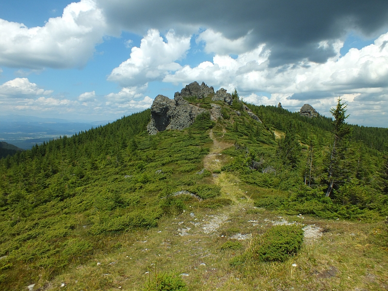 &copy; R.Thiel
09.08.2012 13:04:36
09.08.2012
Rumänien 2012
Rumänienfotos