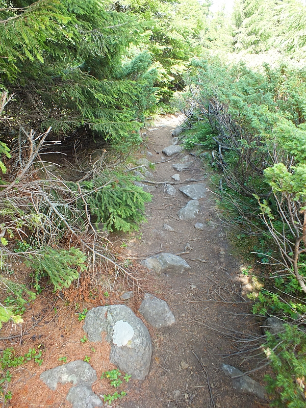 &copy; R.Thiel
09.08.2012 13:57:24
09.08.2012
Rumänien 2012
Rumänienfotos