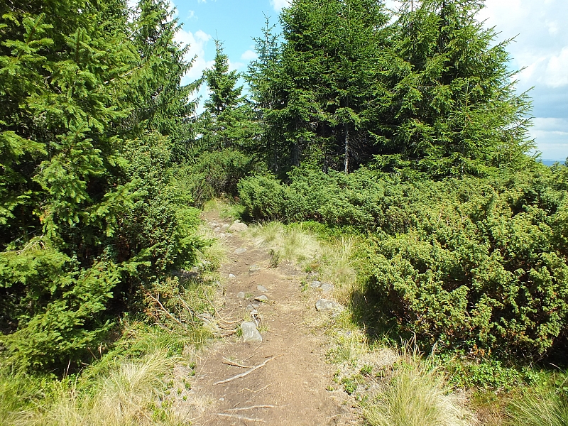 &copy; R.Thiel
09.08.2012 13:58:10
09.08.2012
Rumänien 2012
Rumänienfotos