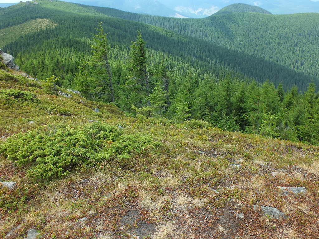 &copy; R.Thiel
09.08.2012 12:28:18
09.08.2012
Rumänien 2012
Rumänienfotos