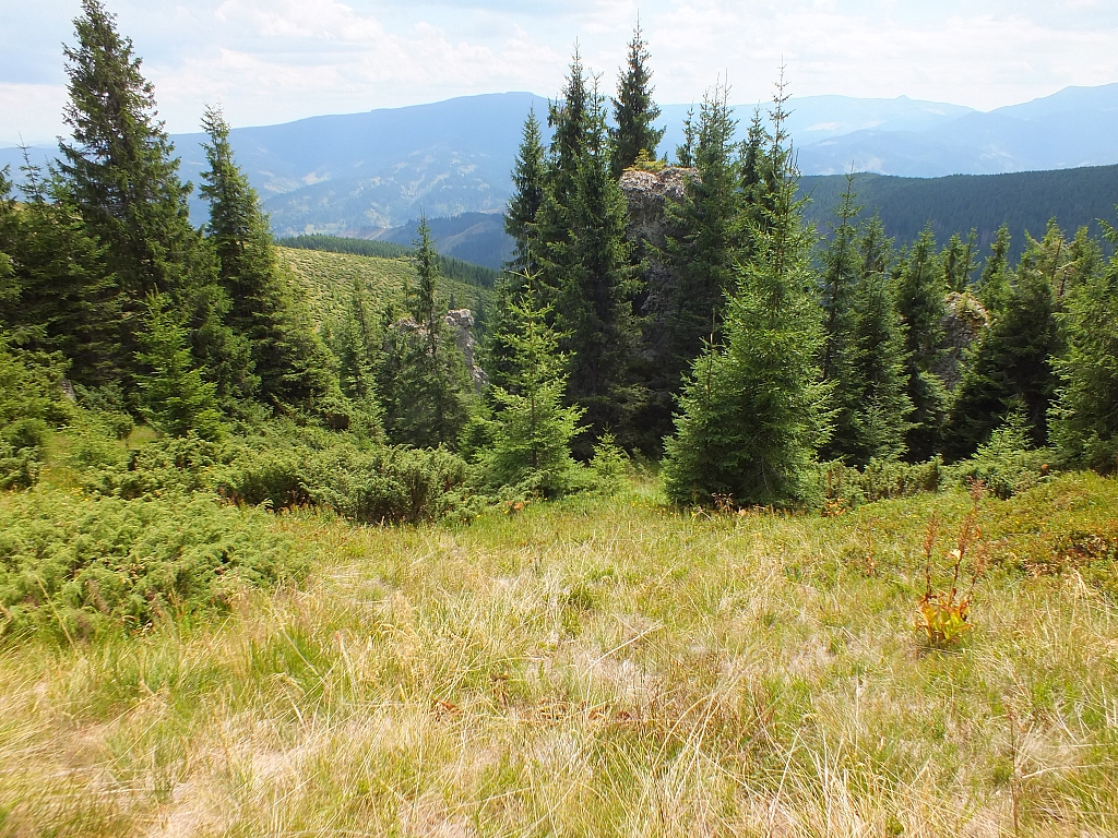 &copy; R.Thiel
09.08.2012 12:38:57
09.08.2012
Rumänien 2012
Rumänienfotos