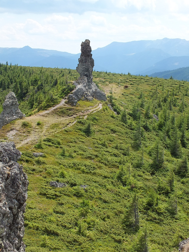 &copy; R.Thiel
09.08.2012 13:13:49
09.08.2012
Rumänien 2012
Rumänienfotos