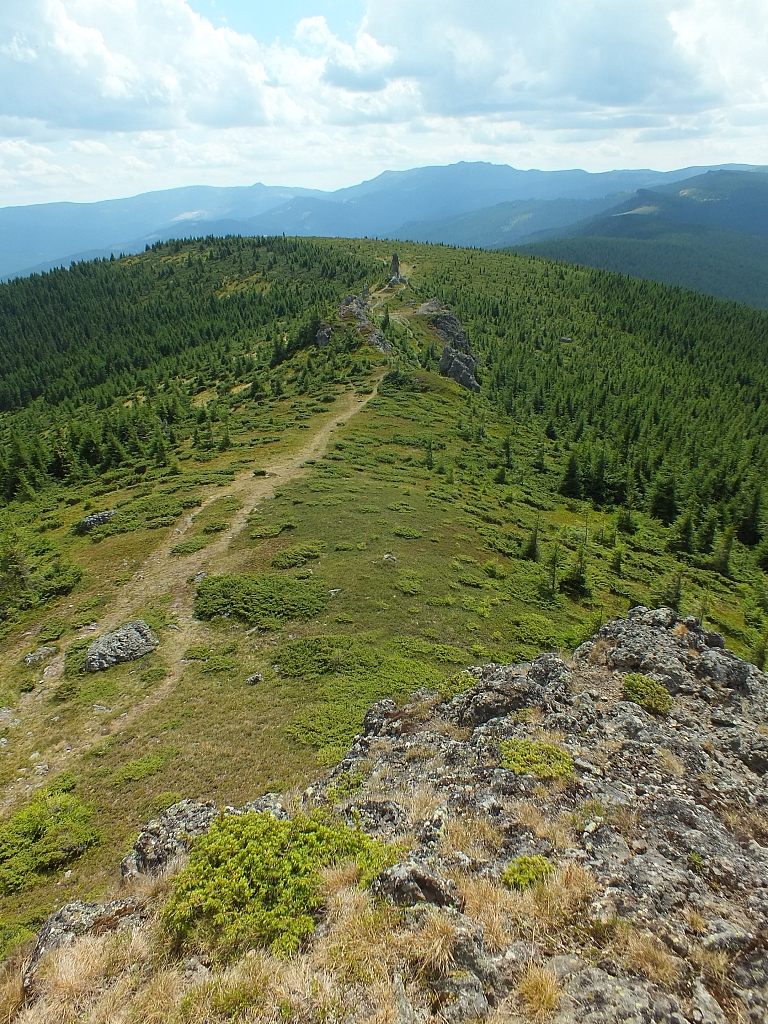 &copy; R.Thiel
09.08.2012 13:19:33
09.08.2012
Rumänien 2012
Rumänienfotos