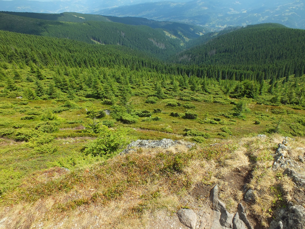 &copy; R.Thiel
09.08.2012 13:20:22
09.08.2012
Rumänien 2012
Rumänienfotos