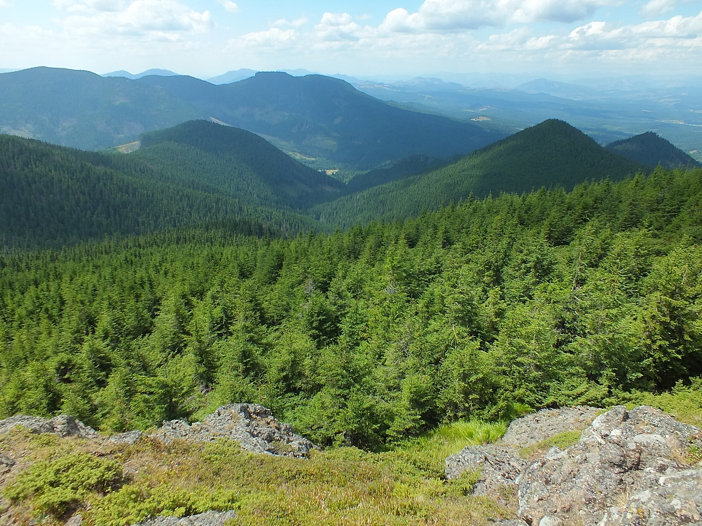 &copy; R.Thiel
09.08.2012 13:20:37
09.08.2012
Rumänien 2012
Rumänienfotos