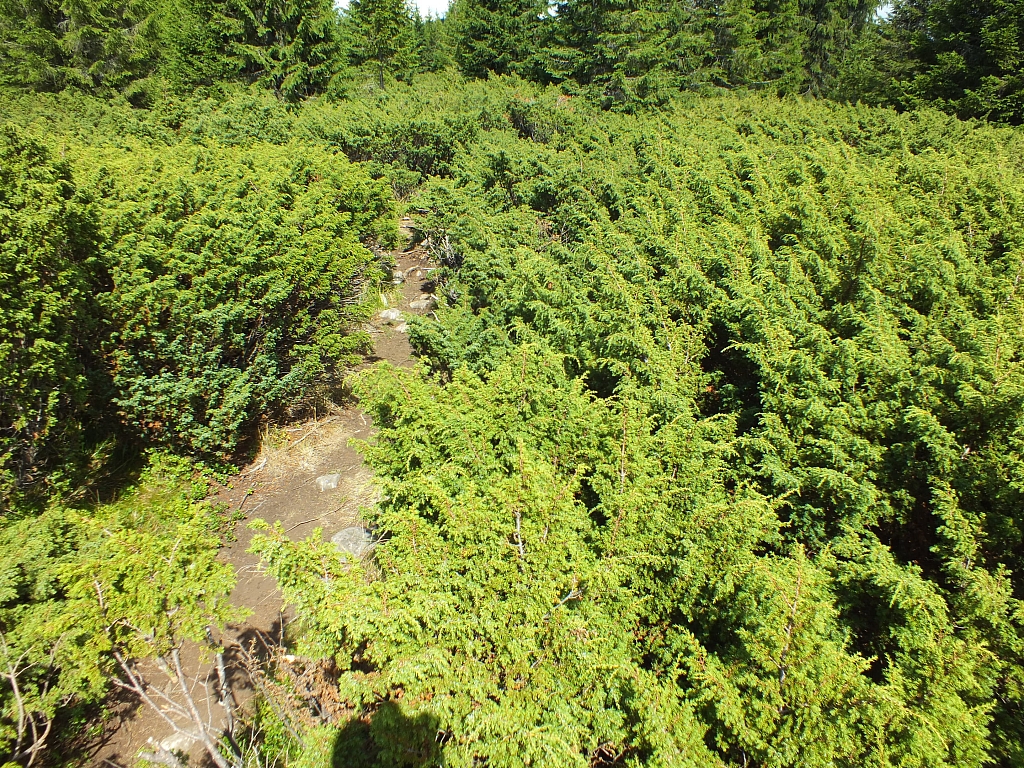 &copy; R.Thiel
09.08.2012 13:56:21
09.08.2012
Rumänien 2012
Rumänienfotos