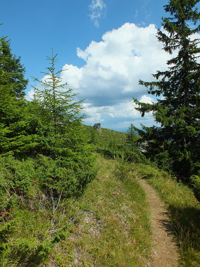 &copy; R.Thiel
09.08.2012 14:09:43
09.08.2012
Rumänien 2012
Rumänienfotos