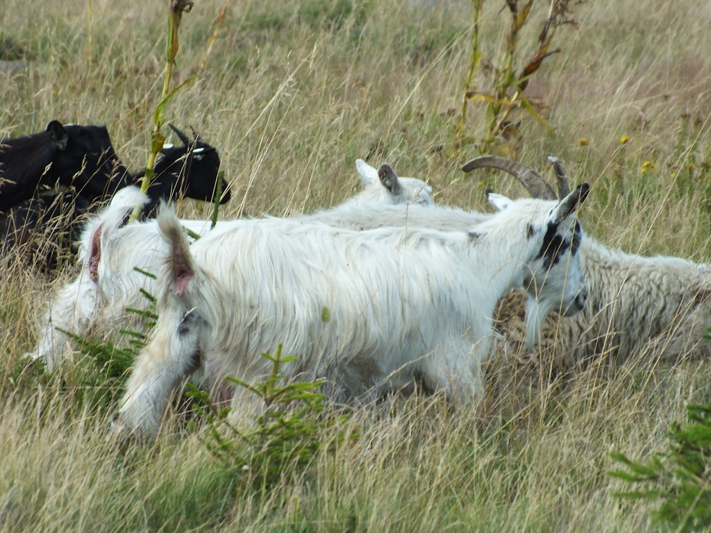 &copy; R.Thiel
09.08.2012 14:44:04
09.08.2012
Rumänien 2012
Rumänienfotos