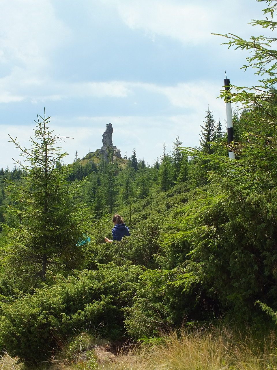 &copy; R.Thiel
09.08.2012 12:58:10
09.08.2012
Rumänien 2012
Rumänienfotos