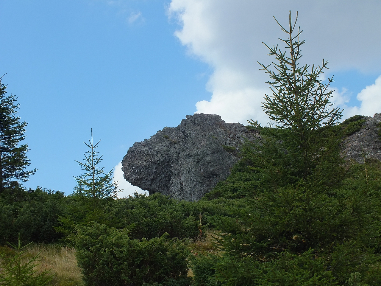 &copy; R.Thiel
09.08.2012 13:02:42
09.08.2012
Rumänien 2012
Rumänienfotos