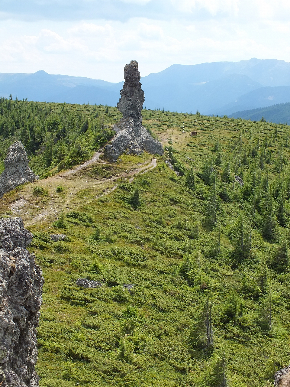 &copy; R.Thiel
09.08.2012 13:13:49
09.08.2012
Rumänien 2012
Rumänienfotos