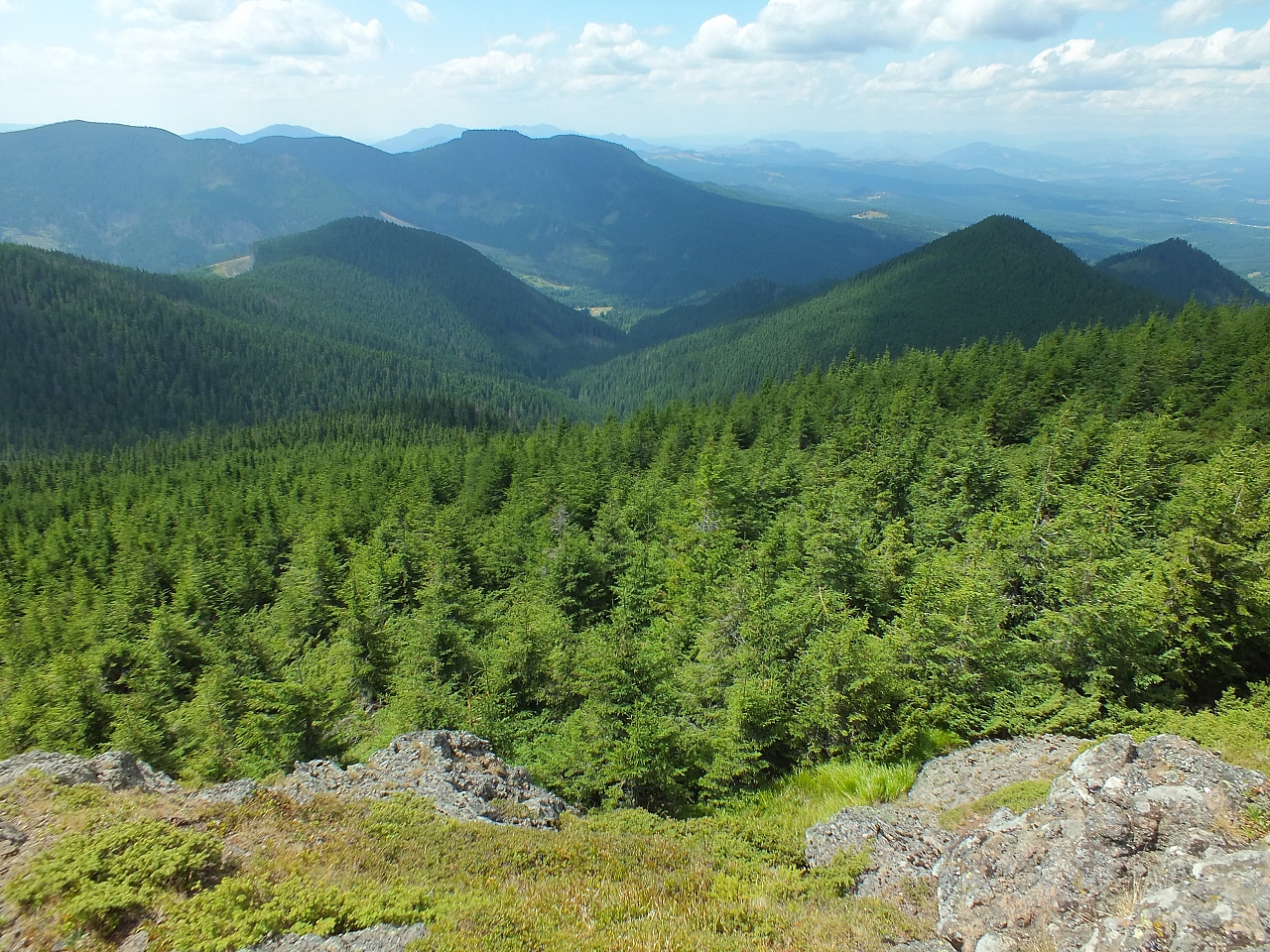 &copy; R.Thiel
09.08.2012 13:20:37
09.08.2012
Rumänien 2012
Rumänienfotos