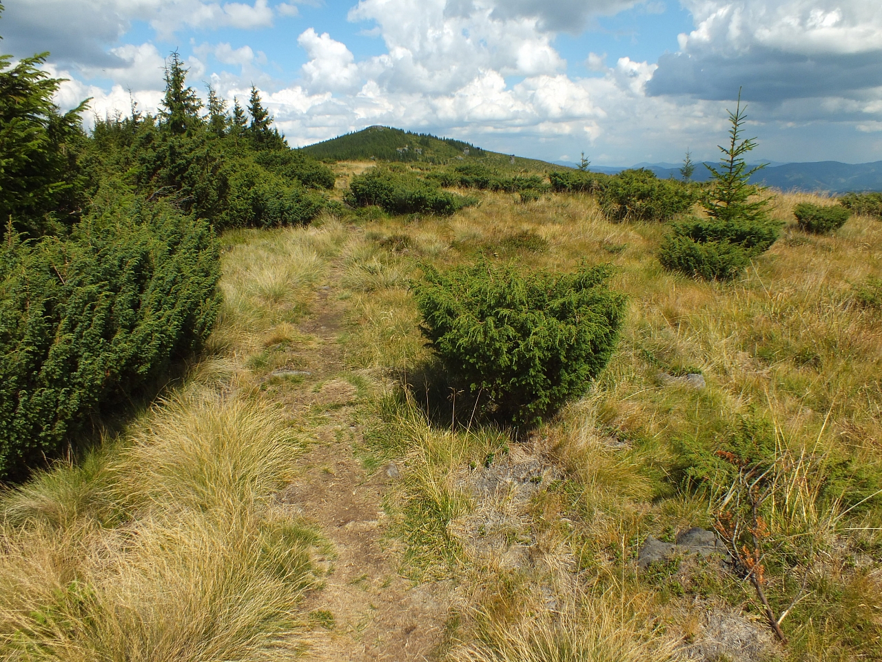 &copy; R.Thiel
09.08.2012 13:58:44
09.08.2012
Rumänien 2012
Rumänienfotos