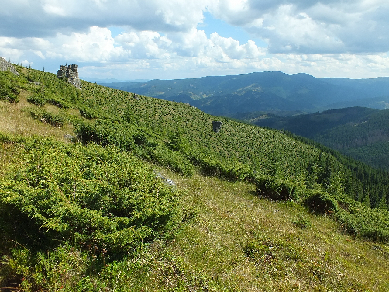 &copy; R.Thiel
09.08.2012 14:10:57
09.08.2012
Rumänien 2012
Rumänienfotos