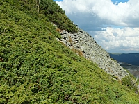 11.08.2012 17:27:07
11.08.2012
Rumänien 2012
Rumänienfotos