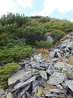 11.08.2012 17:30:11
11.08.2012
Rumänien 2012
Rumänienfotos