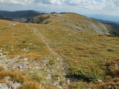 &copy; R.Thiel
11.08.2012 16:12:06
11.08.2012
Rumänien 2012
Rumänienfotos