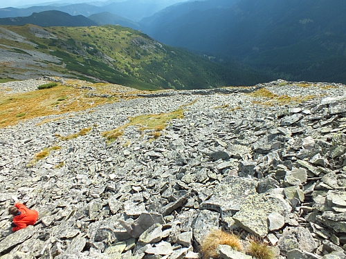 &copy; R.Thiel
11.08.2012 16:15:35
11.08.2012
Rumänien 2012
Rumänienfotos