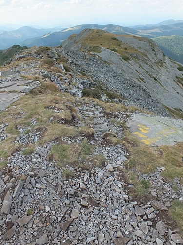 &copy; R.Thiel
11.08.2012 16:20:56
11.08.2012
Rumänien 2012
Rumänienfotos