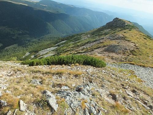 &copy; R.Thiel
11.08.2012 17:00:12
11.08.2012
Rumänien 2012
Rumänienfotos