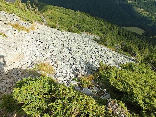 &copy; R.Thiel
11.08.2012 17:27:59
11.08.2012
Rumänien 2012
Rumänienfotos