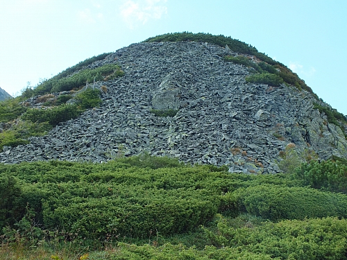 &copy; R.Thiel
11.08.2012 17:31:11
11.08.2012
Rumänien 2012
Rumänienfotos