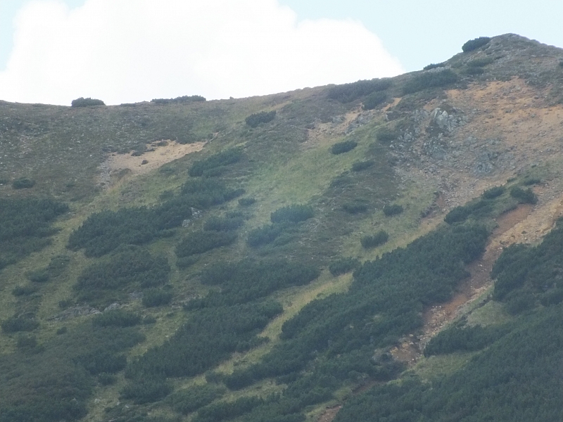 &copy; R.Thiel
11.08.2012 13:30:12
11.08.2012
Rumänien 2012
Rumänienfotos