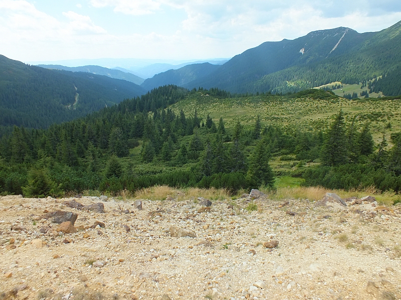 &copy; R.Thiel
11.08.2012 13:51:56
11.08.2012
Rumänien 2012
Rumänienfotos