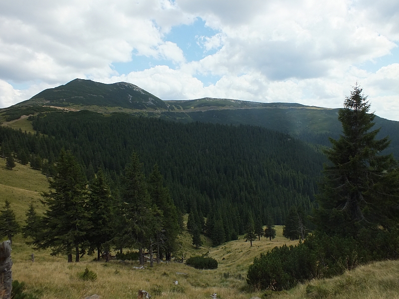 &copy; R.Thiel
11.08.2012 14:26:07
11.08.2012
Rumänien 2012
Rumänienfotos