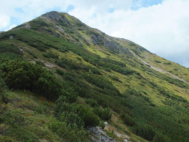 &copy; R.Thiel
11.08.2012 14:55:28
11.08.2012
Rumänien 2012
Rumänienfotos