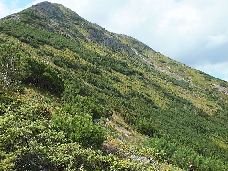 &copy; R.Thiel
11.08.2012 14:58:20
11.08.2012
Rumänien 2012
Rumänienfotos