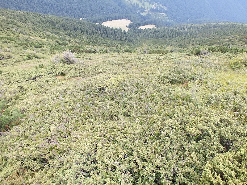 &copy; R.Thiel
11.08.2012 15:03:15
11.08.2012
Rumänien 2012
Rumänienfotos