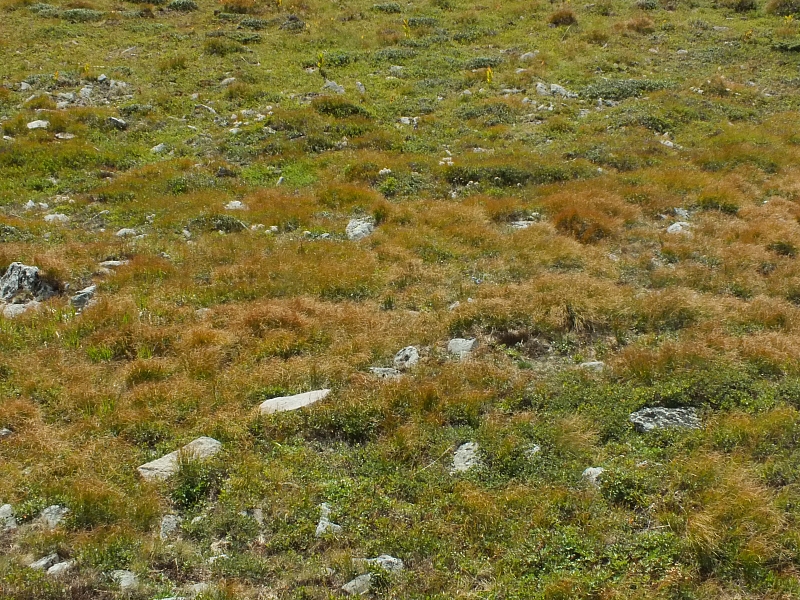 &copy; R.Thiel
11.08.2012 16:55:45
11.08.2012
Rumänien 2012
Rumänienfotos