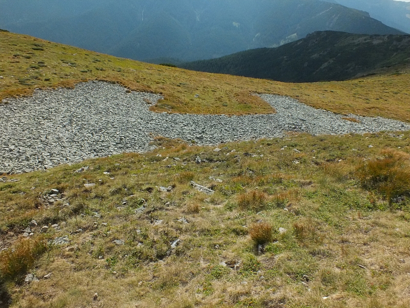 &copy; R.Thiel
11.08.2012 16:59:55
11.08.2012
Rumänien 2012
Rumänienfotos