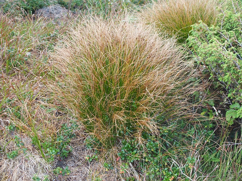 &copy; R.Thiel
11.08.2012 17:30:54
11.08.2012
Rumänien 2012
Rumänienfotos