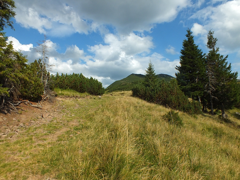 &copy; R.Thiel
11.08.2012 17:58:10
11.08.2012
Rumänien 2012
Rumänienfotos