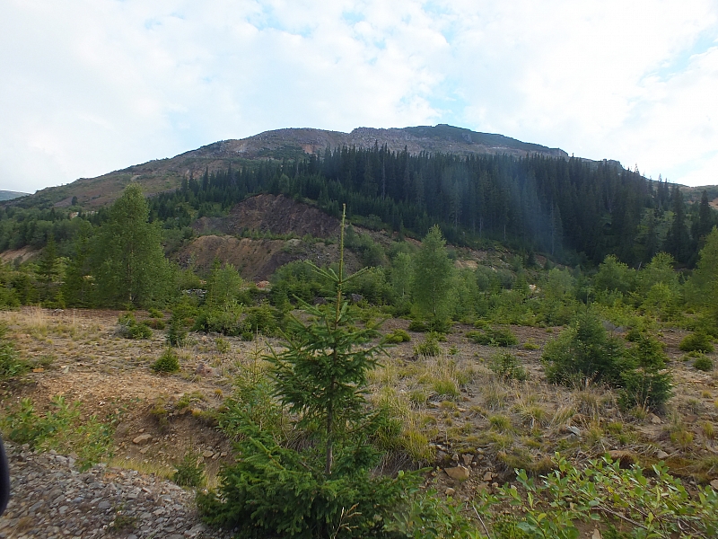 &copy; R.Thiel
11.08.2012 18:44:41
11.08.2012
Rumänien 2012
Rumänienfotos