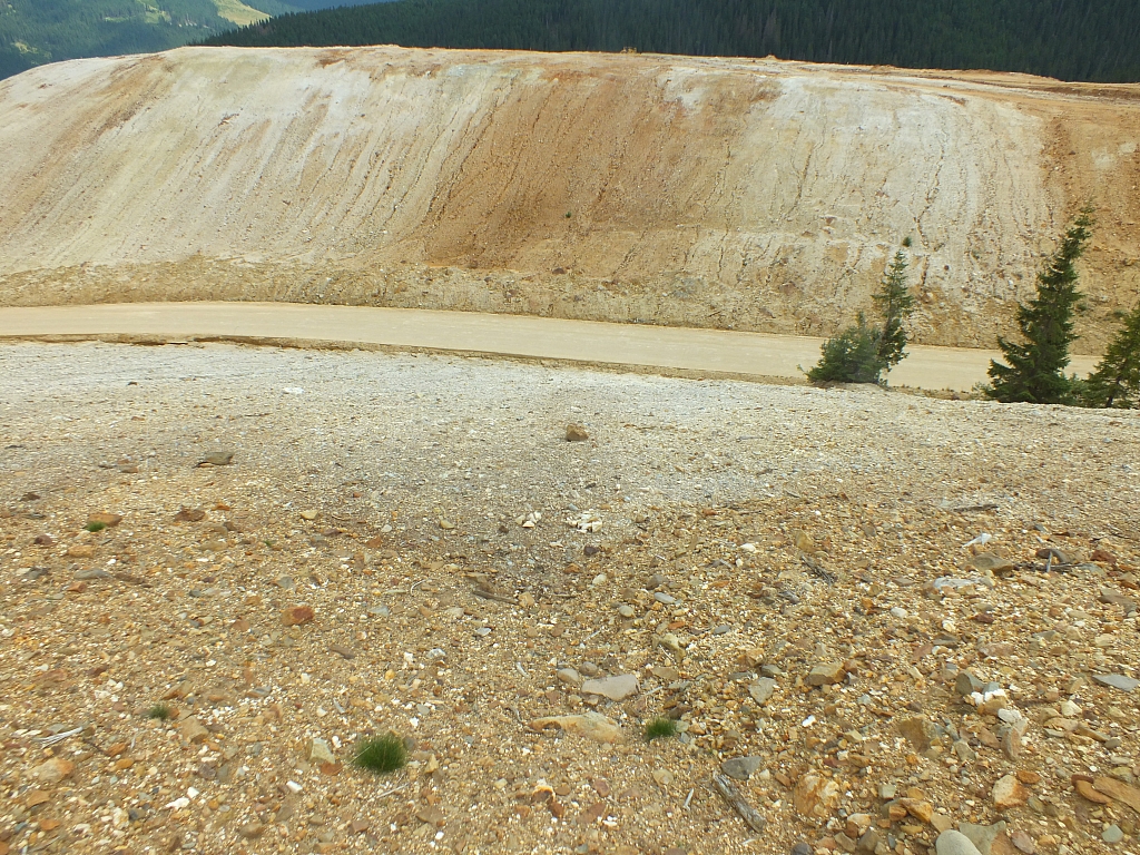 &copy; R.Thiel
11.08.2012 13:26:35
11.08.2012
Rumänien 2012
Rumänienfotos