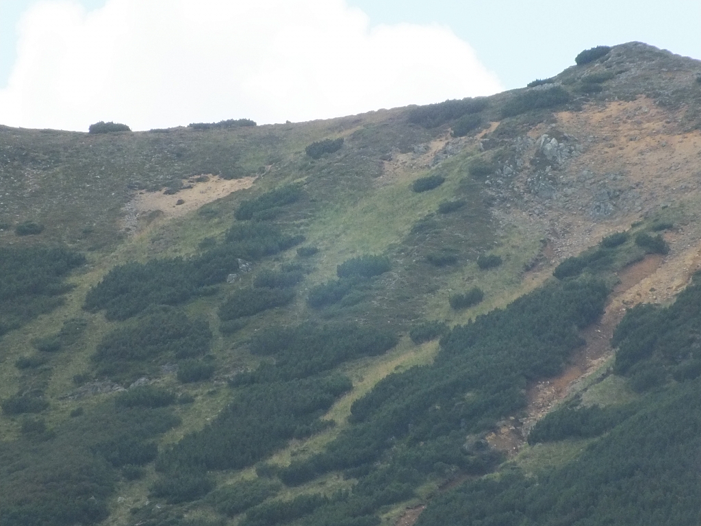 &copy; R.Thiel
11.08.2012 13:30:12
11.08.2012
Rumänien 2012
Rumänienfotos