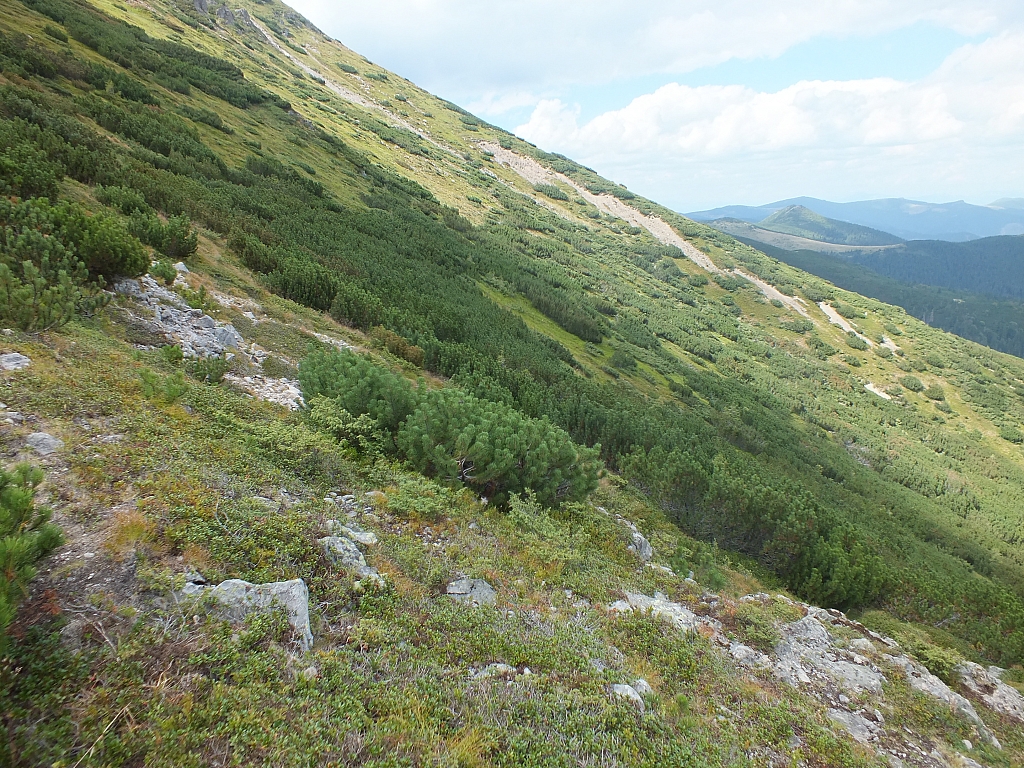 &copy; R.Thiel
11.08.2012 14:55:41
11.08.2012
Rumänien 2012
Rumänienfotos