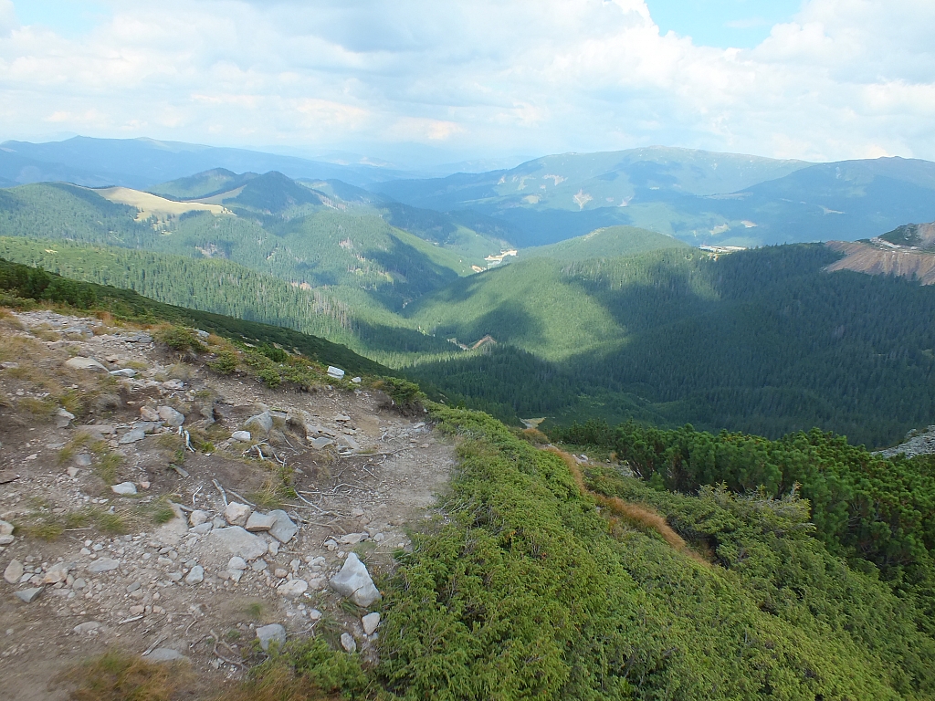 &copy; R.Thiel
11.08.2012 15:03:44
11.08.2012
Rumänien 2012
Rumänienfotos