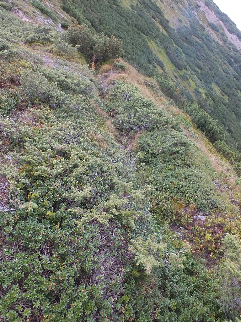 &copy; R.Thiel
11.08.2012 17:23:12
11.08.2012
Rumänien 2012
Rumänienfotos