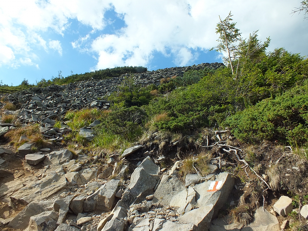 &copy; R.Thiel
11.08.2012 17:29:19
11.08.2012
Rumänien 2012
Rumänienfotos