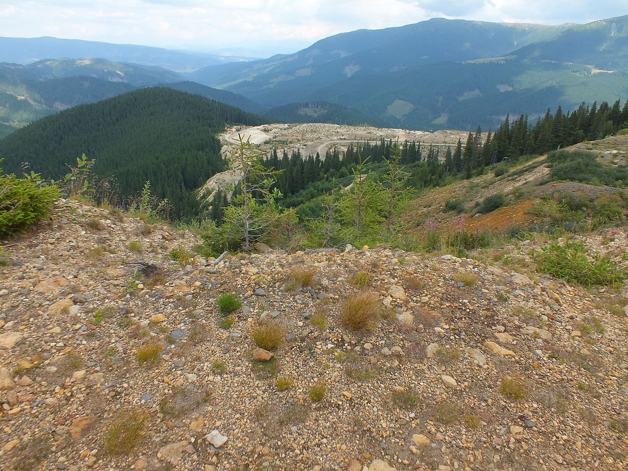 &copy; R.Thiel
11.08.2012 13:44:28
11.08.2012
Rumänien 2012
Rumänienfotos