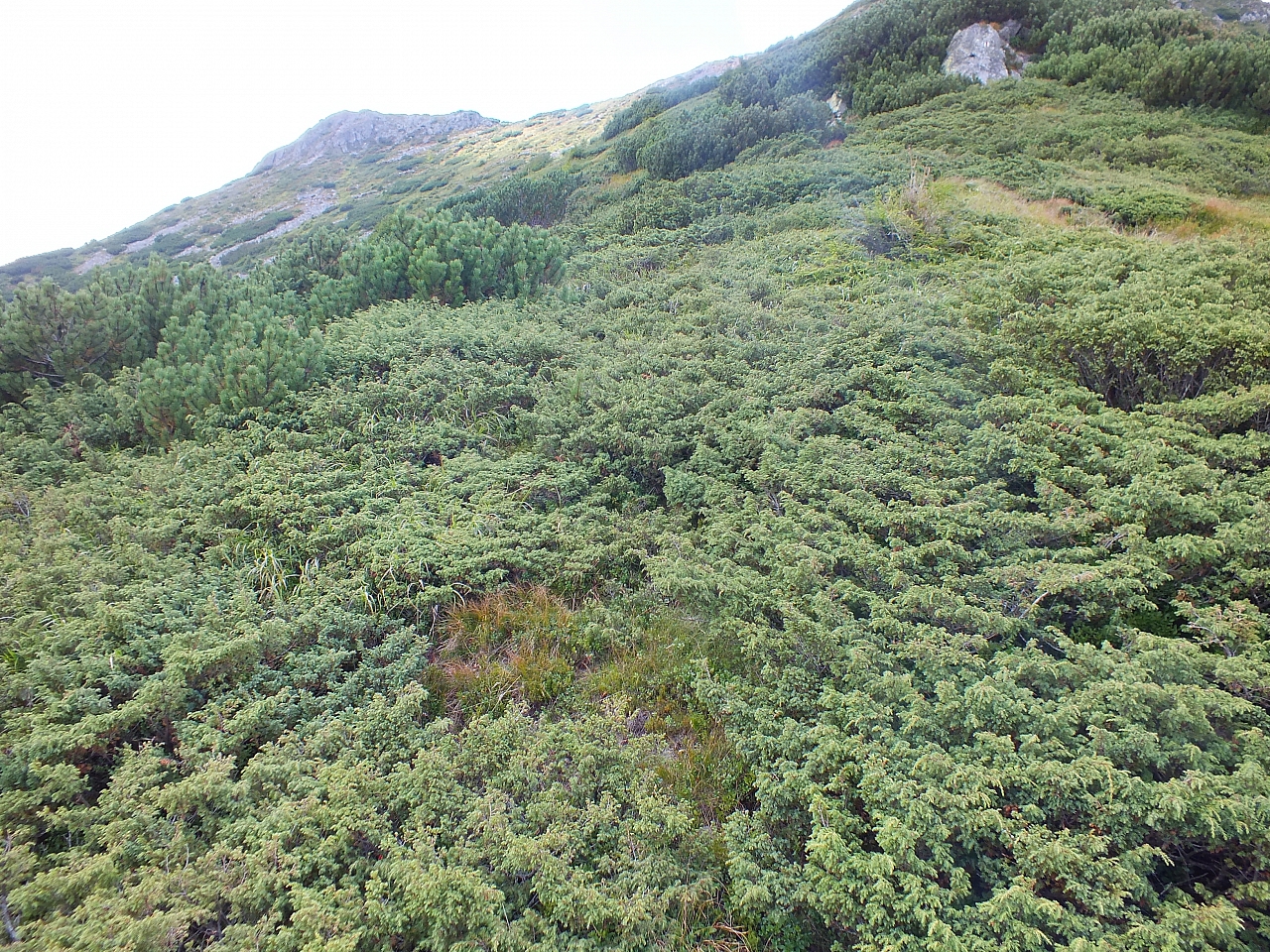 &copy; R.Thiel
11.08.2012 15:03:35
11.08.2012
Rumänien 2012
Rumänienfotos