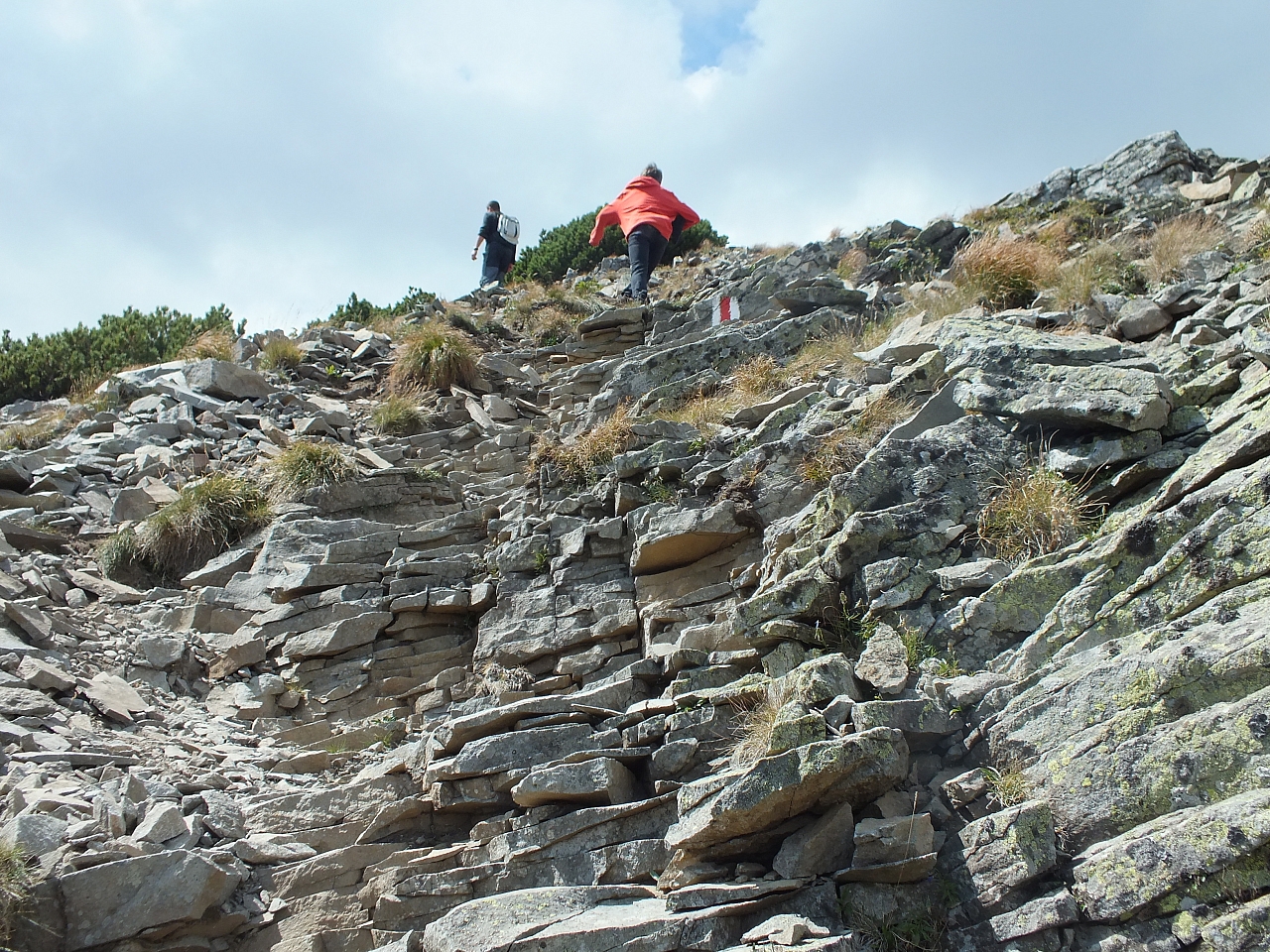 &copy; R.Thiel
11.08.2012 15:19:31
11.08.2012
Rumänien 2012
Rumänienfotos