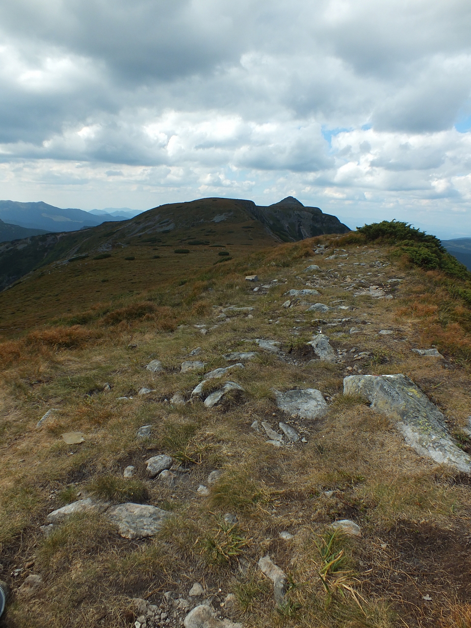 &copy; R.Thiel
11.08.2012 15:30:19
11.08.2012
Rumänien 2012
Rumänienfotos